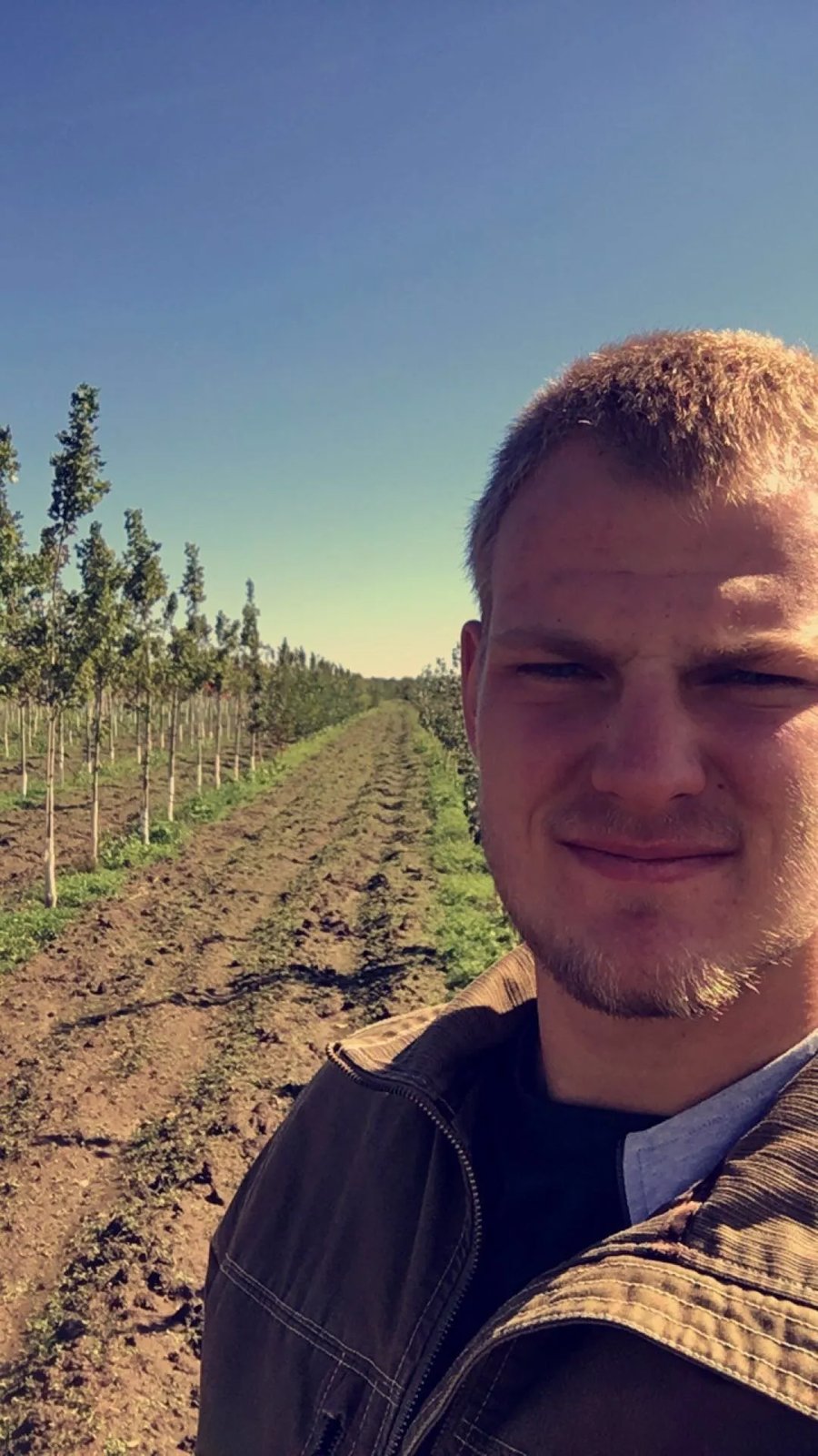 Wellner Arboriculture tree service project