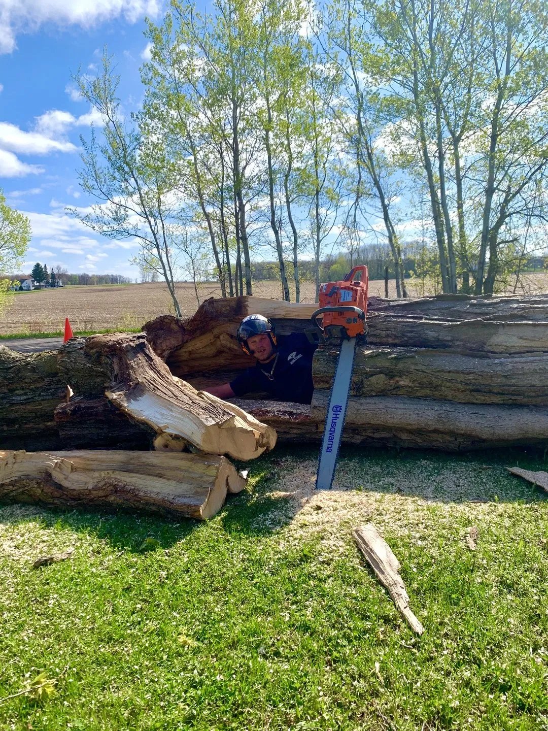 Wellner Arboriculture tree service project